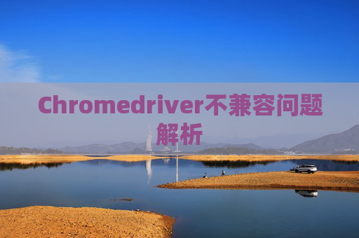 Chromedriver不兼容问题解析